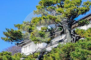 Authentic building in the territory by the Emperor palace of Japan.