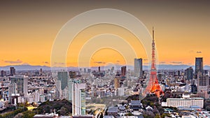 Tokyo, Japan cityscape and tower photo