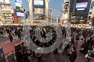 TOKYO, JAPAN - JANUARY 28, 2017: Shibuya District in Tokyo. Famous and busiest intersection in the world, Japan. Shibuya Crossing
