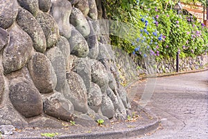 Dry stone retaining wall of Asuka-no-komichi slope and hydrangeas flowers.