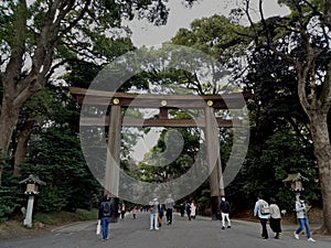 Tokyo, Japan - 18 March 2019 Meiji Shrine is located in Shibuya, Tokyo, Meiji Shrine is a shrine that many Japanese people come to