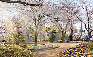 People waiting in row the monorail of Asukayama Park for Hanami Festival.