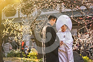 Traditional Japanese shinto wedding of a couple in black haori kimono and white shiromuku