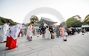 Tokyo, Japan - November 23, 2013: Japanese wedding ceremony at Meiji Jingu Shrine