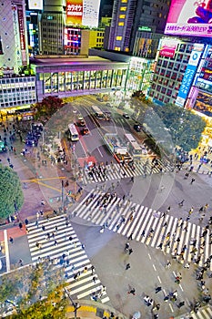 Shibuya Crossing from Top Observation View at Twilight in Tokyo City, Japan at November 12, 2019