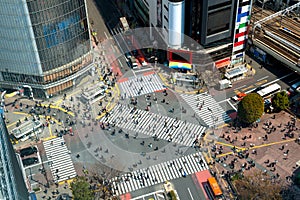 Tokyo, Japan view of Shibuya Crossing, one of the busiest crosswalks in Tokyo, Japan.