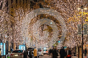 Tokyo Marunouchi winter illumination festival