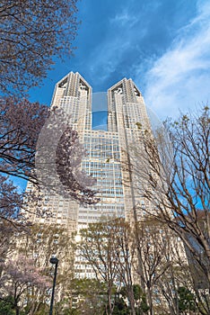 Tokyo Metropolitan Government building & Shinjuku business landmark buildings