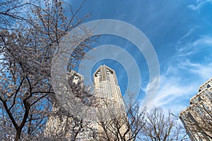 Tokyo Metropolitan Government building & Shinjuku business landmark buildings