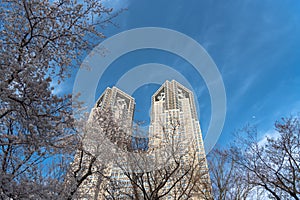 Tokyo Metropolitan Government building & Shinjuku business landmark buildings