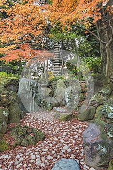 Tokyo Metropolitan Park KyuFurukawa japanese garden`s  dry waterfall and fifteen stories pagoda overlooking by red maple momiji