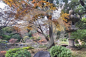Tokyo Metropolitan Park KyuFurukawa japanese garden`s Kasuga stone lantern overlooking by red maple momiji leaves in autumn