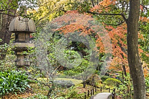 Tokyo Metropolitan Park KyuFurukawa japanese garden`s  Nuresagigata stone lantern overlooking by red maple momiji leaves in autumn