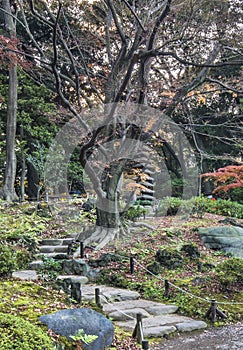 Tokyo Metropolitan Park KyuFurukawa japanese garden`s stone stairs in the forest leading to a thirteen storied stone pagoda