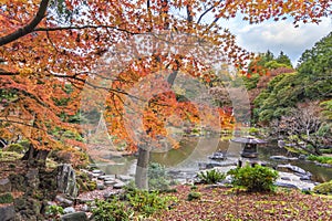 Tokyo Metropolitan Park KyuFurukawa japanese garden`s Yukimi stone lantern overlooking by red maple momiji leaves in autumn