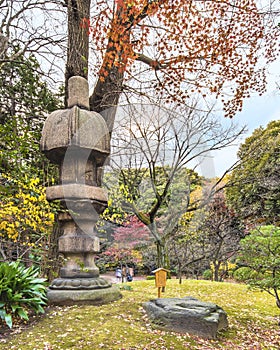 Tokyo Metropolitan Park KyuFurukawa`s japanese garden`s  Nuresagigata stone lantern overlooking by red maple momiji leaves in