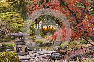 Tokyo Metropolitan Park KyuFurukawa`s japanese garden`s Yukimi stone lantern overlooking by red maple momiji leaves in autumn