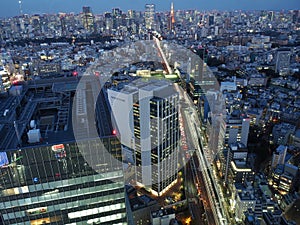 Tokyo Panorama from Scramble Square Building