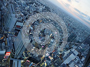 Tokyo Panorama from Scramble Square Building