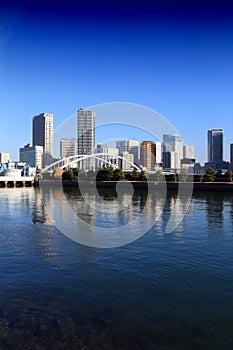 Tokyo residential skyline