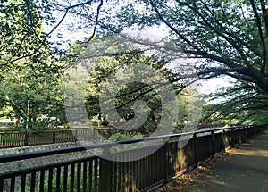 Tokyo, Setagaya City, Soshigaya Park, Senkawa Rive