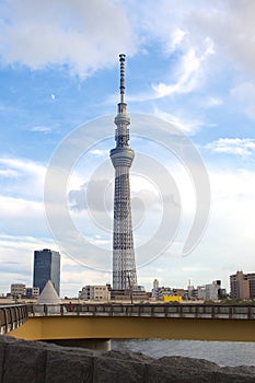 Tokyo Sky Tree