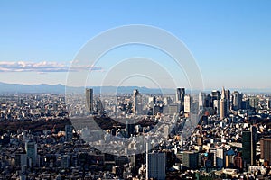 Tokyo skyline from elevated viewpoint with skyscrapers, park and mountains