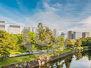 Tokyo Skyline in the Imperial Palace East Gardens, Japan photo