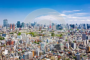 Tokyo Skyline photo