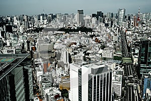 Tokyo skyline seen from the Shibuya Sky