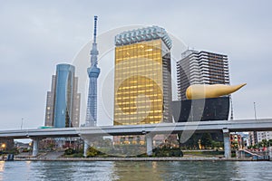 Tokyo skytree and Asahi tower with Sumida river.