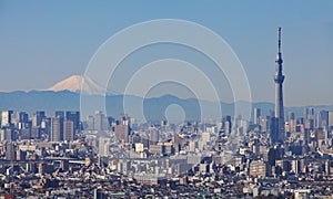 Tokyo skytree with Mt Fuji