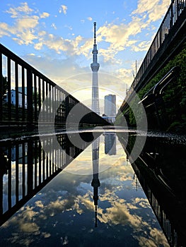 Tokyo Skytree reflection at sunset with dramatic clouds