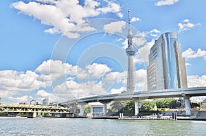 Tokyo Skytree and Sumida Ward Office building.