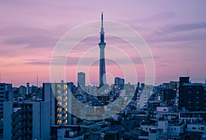 Tokyo Skytree before sunrise, Tokyo, Japan