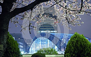 Tokio primavera 