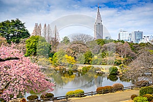 Tokyo in Spring