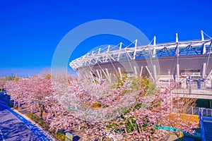 Tokyo Stadium (Ajinomoto Stadium) and Sakura