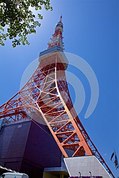 Tokyo tower