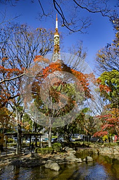 Tokyo Tower Minato in fall  Japan