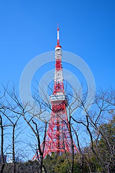 The Tokyo Tower,Red Steel Structure. is a communications and observation tower in the Shiba-koen district of Minato, Tokyo, Japan