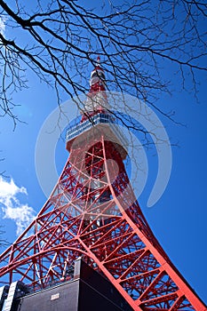 The Tokyo Tower,Red Steel Structure. is a communications and observation tower in the Shiba-koen district of Minato, Tokyo, Japan