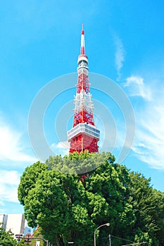 Tokyo Tower on sunny day with blue sky and green tree