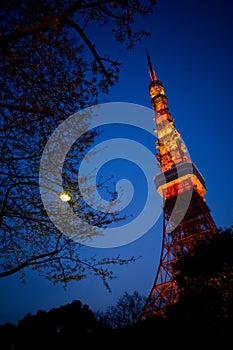 Tokyo Tower at twilight blue sky