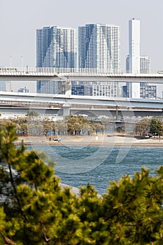 Tokyo view from Odaiba photo