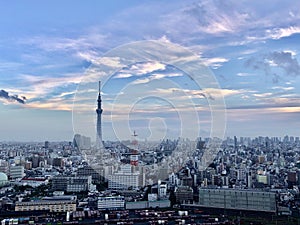 Tokyo View of Skyline with Skytree