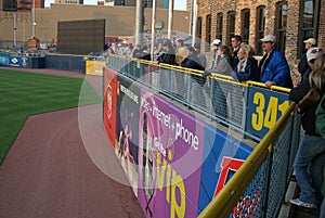Toledo Mud Hens Baseball Fans