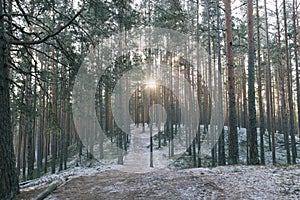 Tolkuse bog, Estonia