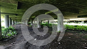 toll road tunnel In humid conditions, moss and wild plants began to grow beneath it