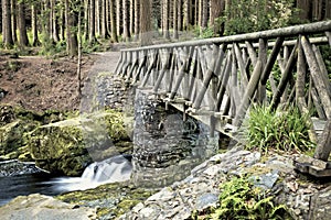 Tollymore Forest Park